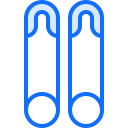 Pin icon