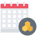 calendario icon