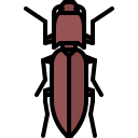 Animal icon