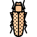 Animal icon