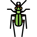 Animal icon