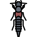 동물 icon