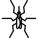 동물 icon