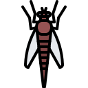동물 icon