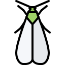 동물 icon