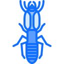 animal icon