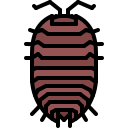동물 icon