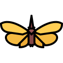 동물 icon