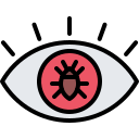 Insect 