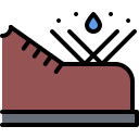 zapato icon