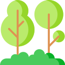 Trees 