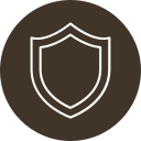 seguridad icon