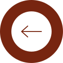 anterior icon