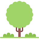 natureza 