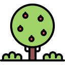 natureza 