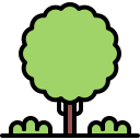 natureza 