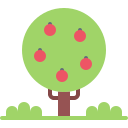 natureza 