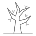 Árbol muerto icon