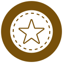 estrella icon