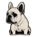 perro icon