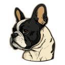 perro icon