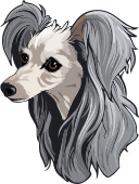 perro crestado chino icon