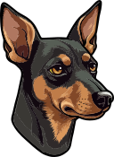 perro pinscher enano icon