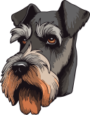 schnauzer medio icon