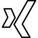 xing icon