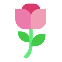 tulipanes icon