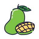 fruta icon