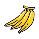 fruta icon