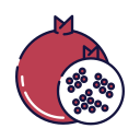 fruta icon