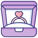 caja del anillo icon