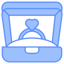 caja del anillo icon