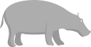 animal icon