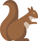 animal icon