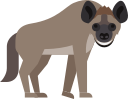 animal icon