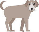 perro icon