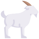 animal icon