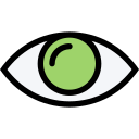 ojo icon