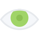 Eye 