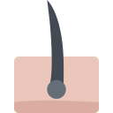 haar icon