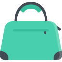 bolsa icon