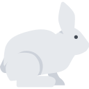 animal icon