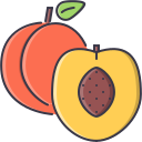 fruta icon