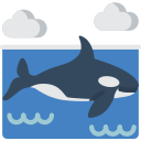 Orca