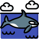 Orca