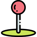 Pin icon