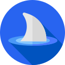 requin 